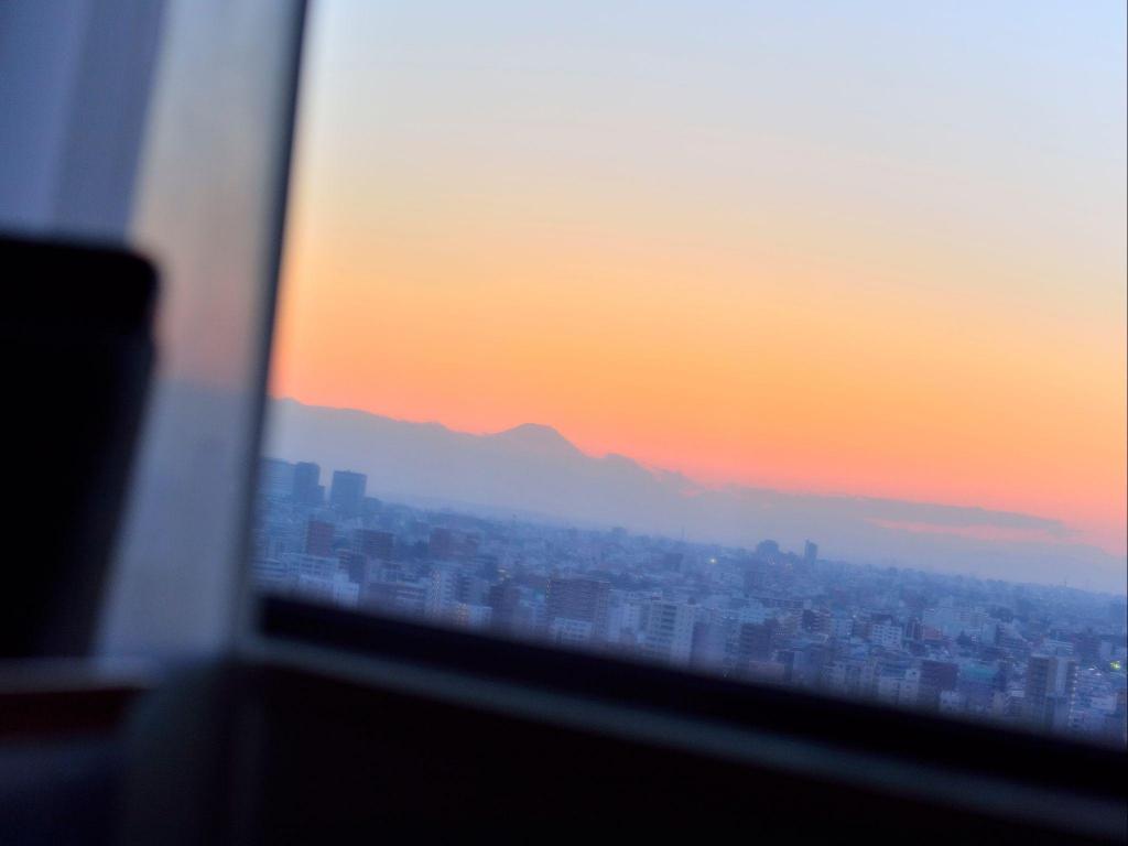 호텔 메트로폴리탄 도쿄 이케부쿠로 4