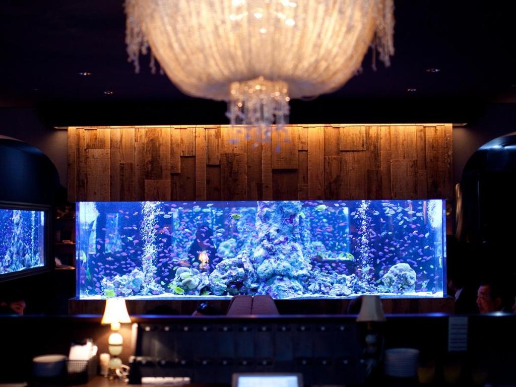 크로스 호텔 오사카 3