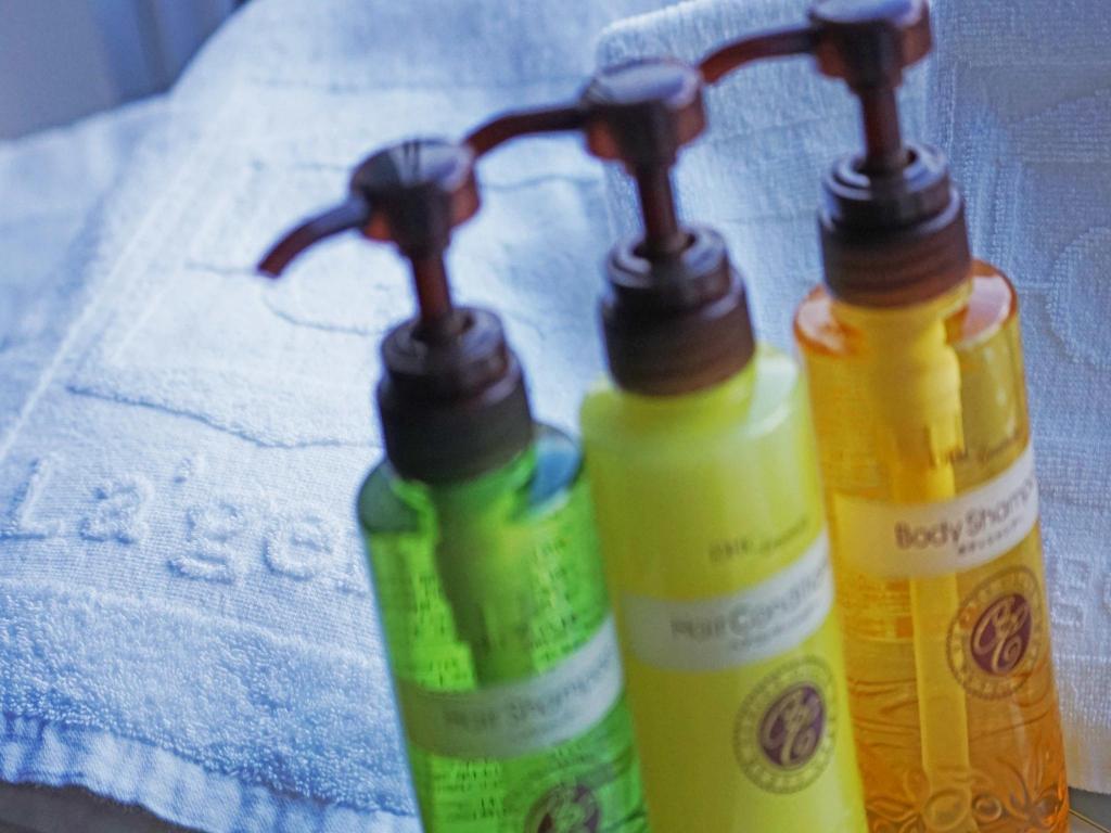 라젠트 스테이 삿포로 오도리 홋카이도 2