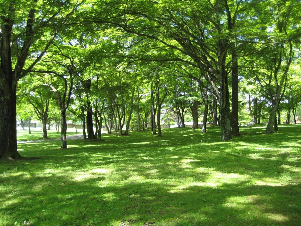 카루이자와 프린스 호텔 웨스트 4